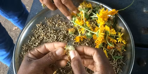 Soil Health: Winter Wind Down | Prepare Your Garden for Rest & Recovery