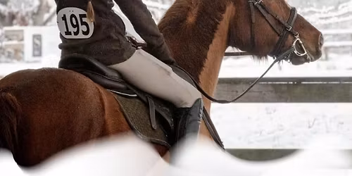 Platinum Show Series- Valentine Invitational