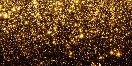 Every Little Thing Band Celebrates New Years at Parrots!