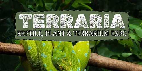 Terraria Reptile Expo ~ Fall 2025
