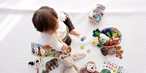 FREE La Crosse Area Toy and Book Swap