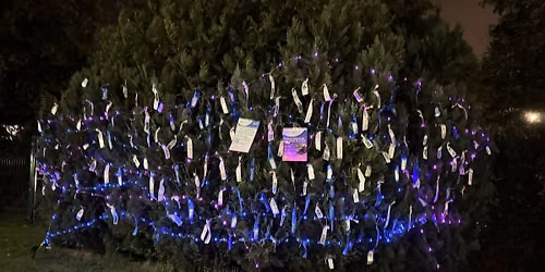 Basingstoke Ribbon Display in aid of Sands for Baby Loss Awareness Week\ud83e\udd0d