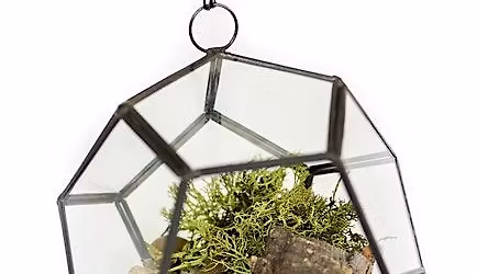 Hanging Terrarium - A Hands On Workshop