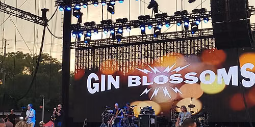 Gin Blossoms
