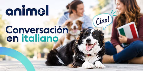 Clases de conversaci\u00f3n en italiano con tu perro
