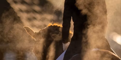 Prince George Classic Dressage Show 