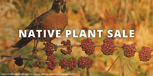 St. Louis Native Plant Sale \u2013 Roeslein & Associates, Inc.
