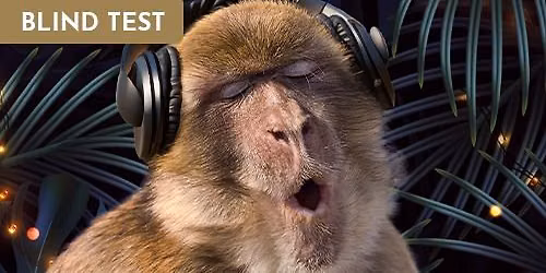 MONKEY'S PARTIES \u2022 BLIND TEST