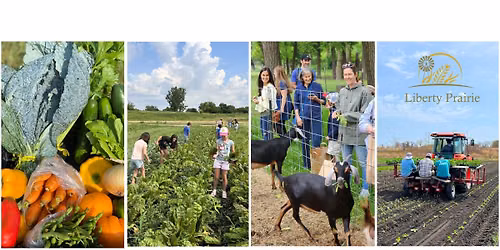 Volunteer Day