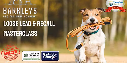 \u2728NEW - Loose Lead & Recall Masterclass