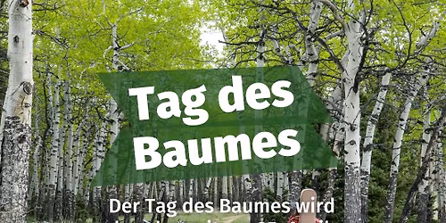 Baumkundlicher Rundgang