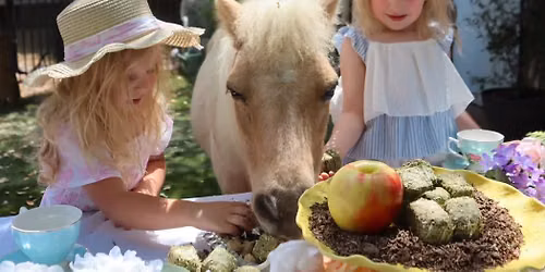 One-Hour Garden Tea Party & Pony Rides experience- 