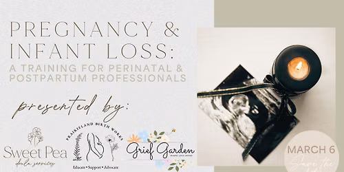 Pregnancy & Infant Loss: A Training for Perinatal & Postpartum Professionals