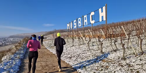 Marche familiale du T\u00e9l\u00e9thon