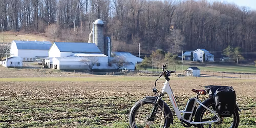 Parking Elvis Birthday Bash With Mike Albert & Scot Bruce