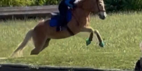 BREA Horse Trials, CT\u2019s and Dressage 