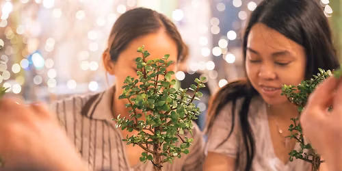 Bonsai Workshop at Sanitas Brewing Company - Englewood