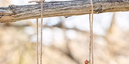 Itty Bitty Arts & Crafts - Birdseed Ornaments