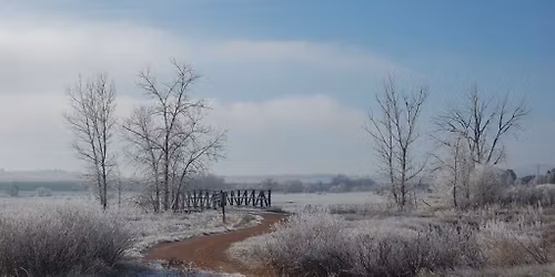 Winter Botanizing Wander