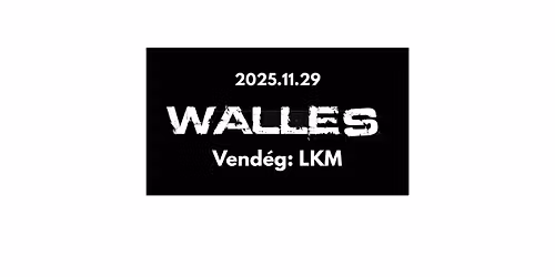 Walles koncert