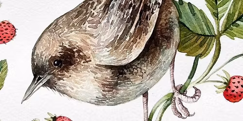 Wren and Wild Strawberries Watercolour Workshop with Rita Gould