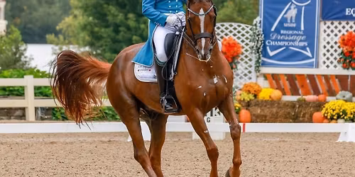 Jennifer Truett Weekend Clinic!  AUDITORS WELCOME