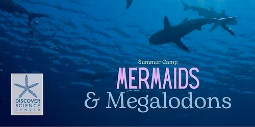 MERMAIDS AND MEGALODONS