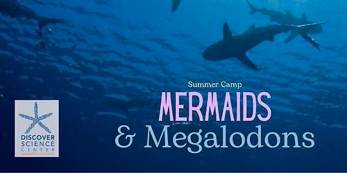 MERMAIDS AND MEGALODONS