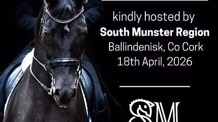 SOUTH MUNSTER REGIONAL FINALS 