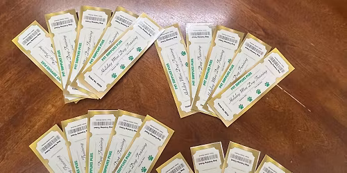 Dog Training Lessons 