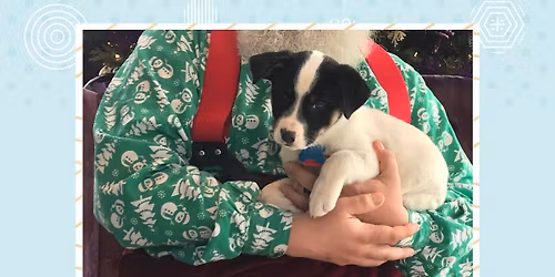 Pet Night with Santa