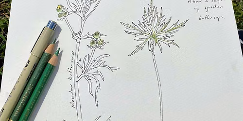 Floodplain Meadows Botanical Sketchbook Workshop (Nene Wetlands)