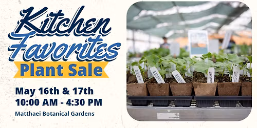 Kitchen Favorites Plant Sale