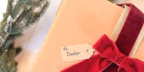 Pet Shop Christmas Faire