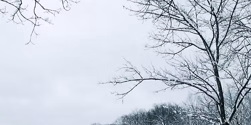 Winter Solstice Forest Bathing