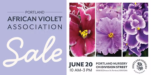 Portland African Violet Association Sale at Portland Nursery