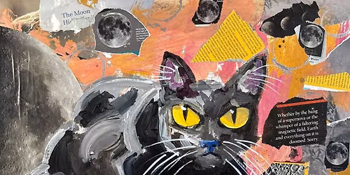 Mixed Up Cats 