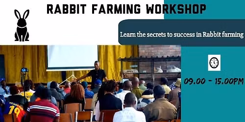 Rabbit Training Workshop \ud83d\udc07\ud83d\udc07
