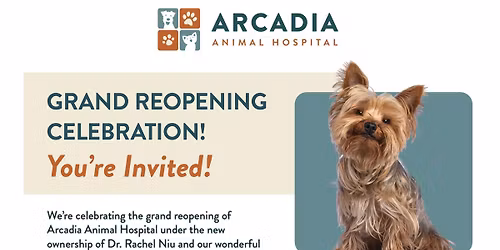 Grand opening celebration