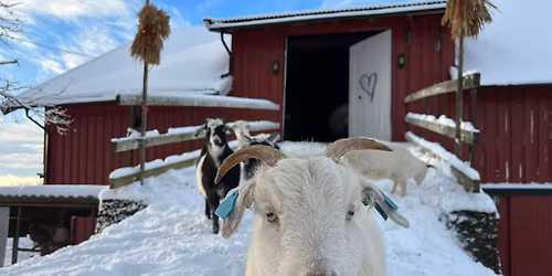 \u00c5pen g\u00e5rd med julestemning p\u00e5 Fladmark