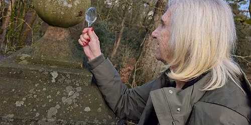 Slow Down Accessible Nature Walk at Smithills - tree ID (July)