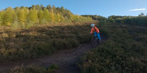 Trail Skills: Level 3