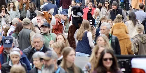 55th Annual Waterfowl Festival