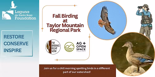 Fall Birding at Taylor Mountain Regional Park