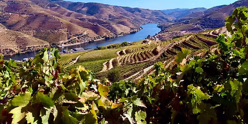 2026 Golf Guide Tour - Porto Golf & Wine Experience