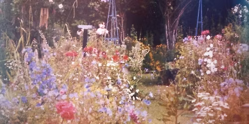 Native Gardening 101