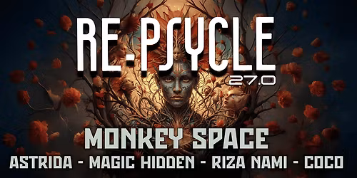RE-PSYCLE 27.0