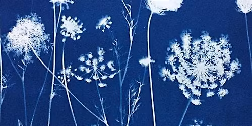 Blueprints of Nature: Botanical Sketchbooking with Cyanoprints