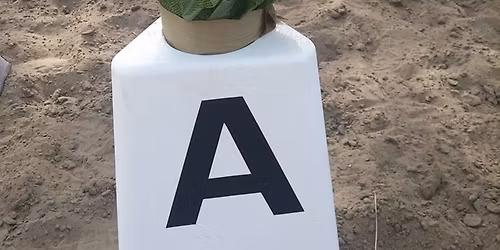 Shamrock I Dressage Show (English & Western)