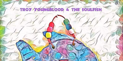 Troy Youngblood & the Soulfish at The Blueberry Patch 